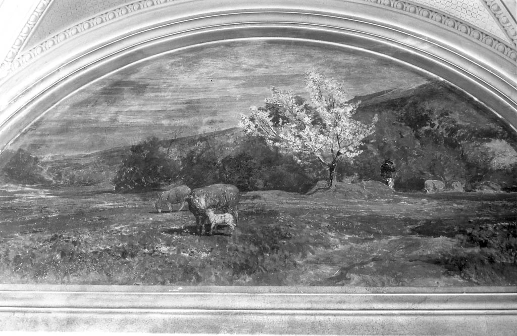 Paesaggio rurale - Roma
